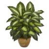 Indoor Dieffenbachia Artificial Plant In Ceramic Planter -AFLORAL ONLINE STORE nearly natural artificial tropical plants 8051 64 1000