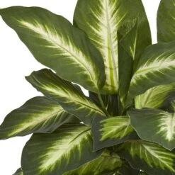 Indoor Dieffenbachia Artificial Plant In Ceramic Planter -AFLORAL ONLINE STORE nearly natural artificial tropical plants 8051 c3 1000