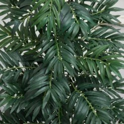 Indoor 5.5 Ft. Bamboo Palm Artificial Plant In Decorative Planter -AFLORAL ONLINE STORE nearly natural artificial tropical plants 8082 4f 1000