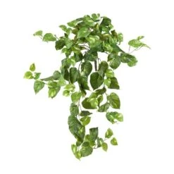 40 In. Artificial Pothos Hanging Bush (Set Of 3) 10 40 In. Artificial Pothos Hanging Bush (Set Of 3) -AFLORAL ONLINE STORE nearly natural artificial vines 6060 s3 31 1000