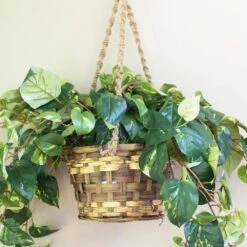 Artificial Pothos Hanging Basket Silk Plant -AFLORAL ONLINE STORE nearly natural artificial vines 6517 1f 1000
