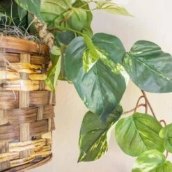 Artificial Pothos Hanging Basket Silk Plant -AFLORAL ONLINE STORE nearly natural artificial vines 6517 4f 1000