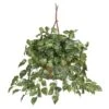 Artificial Pothos Hanging Basket Silk Plant -AFLORAL ONLINE STORE nearly natural artificial vines 6517 64 1000