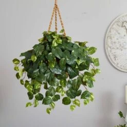 Artificial Pothos Hanging Basket Silk Plant -AFLORAL ONLINE STORE nearly natural artificial vines 6517 76 1000