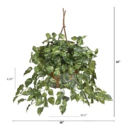 Artificial Pothos Hanging Basket Silk Plant -AFLORAL ONLINE STORE nearly natural artificial vines 6517 fa 1000