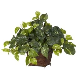 17 In. Artificial H Green Pothos With Coiled Rope Planter Silk Plant