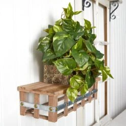 Indoor 15 In. H Artificial Green Pothos Ledge Plant (Set On Foam) Silk Plant -AFLORAL ONLINE STORE nearly natural artificial vines 6708 1f 1000