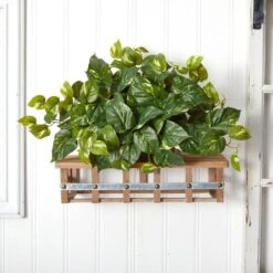 Indoor 15 In. H Artificial Green Pothos Ledge Plant (Set On Foam) Silk Plant -AFLORAL ONLINE STORE nearly natural artificial vines 6708 31 1000