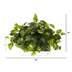 Indoor 15 In. H Artificial Green Pothos Ledge Plant (Set On Foam) Silk Plant -AFLORAL ONLINE STORE nearly natural artificial vines 6708 44 1000
