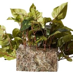 Indoor 15 In. H Artificial Green Pothos Ledge Plant (Set On Foam) Silk Plant -AFLORAL ONLINE STORE nearly natural artificial vines 6708 4f 1000