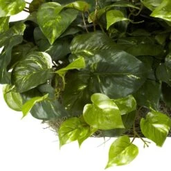 Indoor 15 In. H Artificial Green Pothos Ledge Plant (Set On Foam) Silk Plant -AFLORAL ONLINE STORE nearly natural artificial vines 6708 fa 1000
