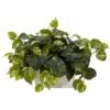 14 In. Artificial H Green Pothos With White Wash Planter Silk Plant -AFLORAL ONLINE STORE nearly natural artificial vines 6713 64 1000