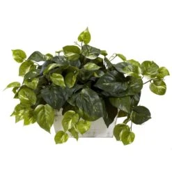 14 In. Artificial H Green Pothos With White Wash Planter Silk Plant
