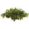 Artificial Pothos With Rectangle Decorative Planter -AFLORAL ONLINE STORE nearly natural artificial vines 6793 64 1000
