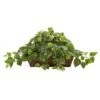 15 In. Artificial Pothos With Ledge Basket -AFLORAL ONLINE STORE nearly natural artificial vines 6818 64 1000