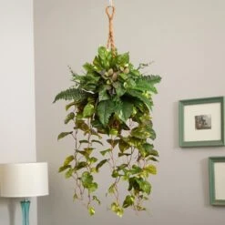Indoor Mixed Pothos And Boston Artificial Fern In Hanging Basket -AFLORAL ONLINE STORE nearly natural artificial vines 6986 31 1000