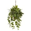 Indoor Mixed Pothos And Boston Artificial Fern In Hanging Basket 1 Indoor Mixed Pothos And Boston Artificial Fern In Hanging Basket -AFLORAL ONLINE STORE nearly natural artificial vines 6986 64 1000